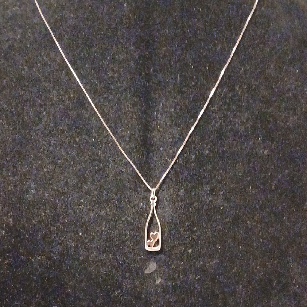 Sterling Silver 925 Necklace with Bottle With Heart Pendant